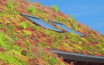 Stapley living roof systems